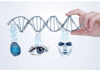 塞伯羅斯智能門(mén)禁系統生物識別 塞伯羅斯智能門(mén)禁系統生物識別